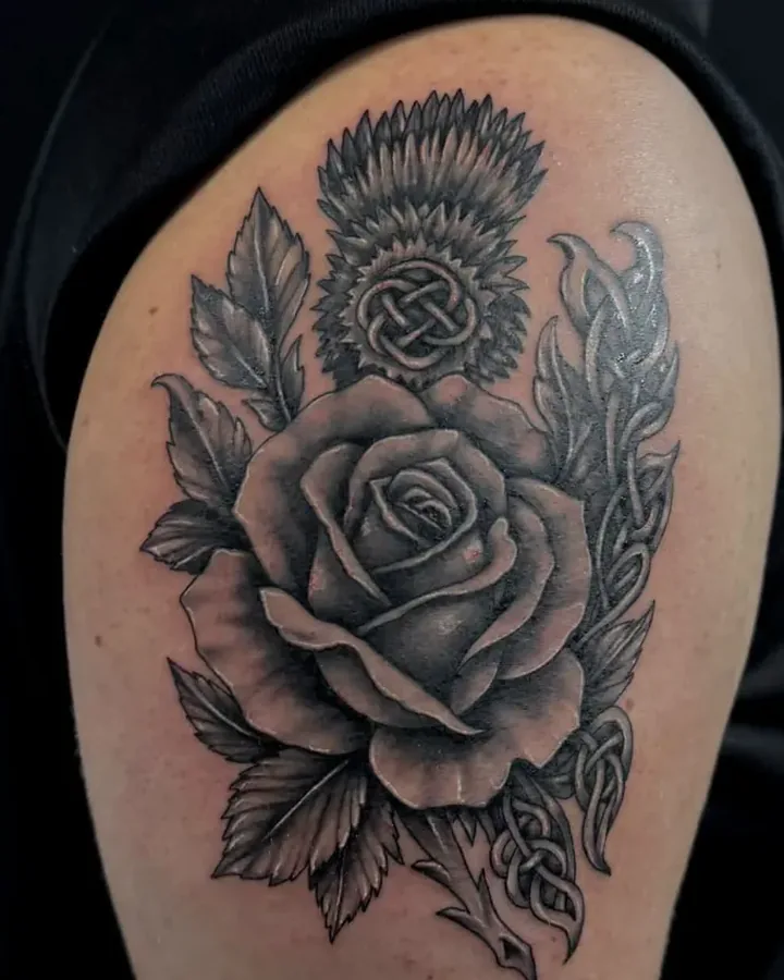 Black and grey rose with a thistle and Celtic knotwork, on a shoulder